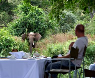 Singita-Sweni-Food-and-wine5