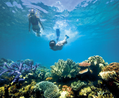 Lizard_Island_Snorkel_1