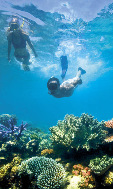 Lizard_Island_Snorkel_1