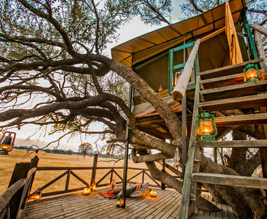 dove's nest bij The Hide in Zimbabwe
