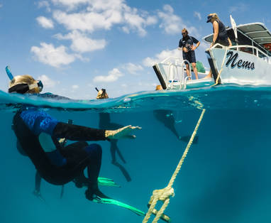 Lizard_Island_Reef_Expedition_Boat_2