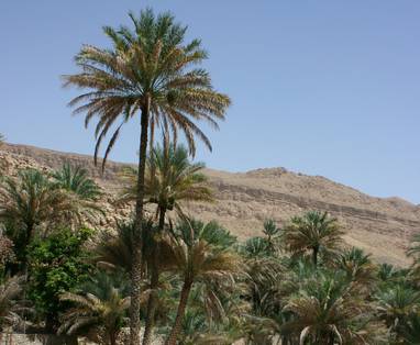 Oman_-_Wadi_Bani_Khalid_2