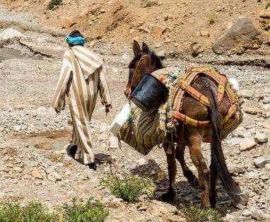 wim-van-t-einde-XPUMUXek4rI-unsplash