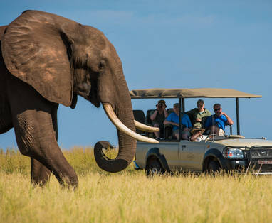 Game_Drive_with_Ele
