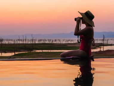 Looking_for_animals_by_the_pool