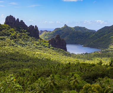 40227526634_d60d4c385e_o