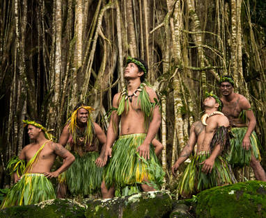 50221640327_0d84f22d17_o