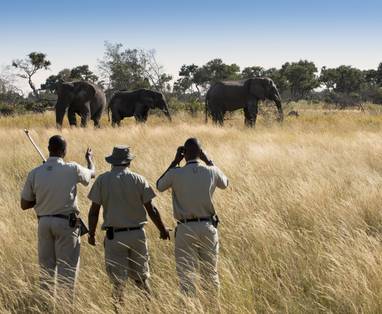 wandelsafari bij Xaranna camp