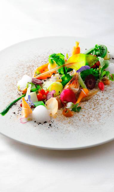 osaxr-vegetarien-menu-0284-ver-clsc
