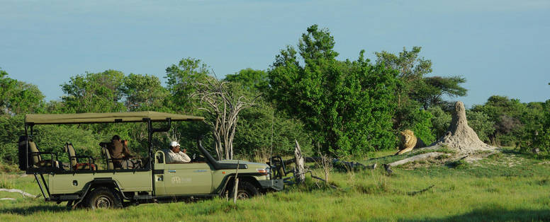 dmysak.cat8kwaravehiclelion