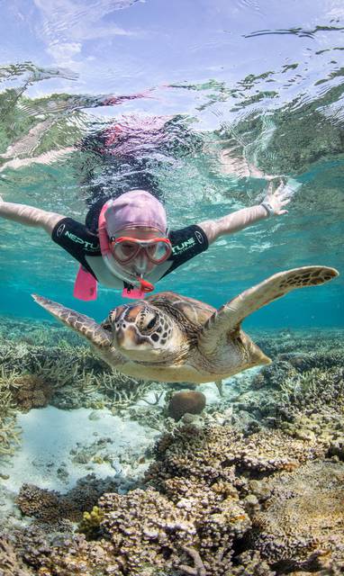 Lady_Elliot_Island_Eco_Resort_-_Snorkelen_-_Prachtig_rif-min