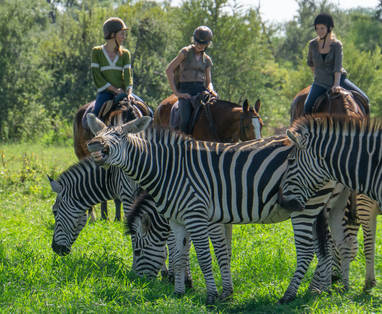 paardrijden bij Stanley & Livingstone in Zimbabwe