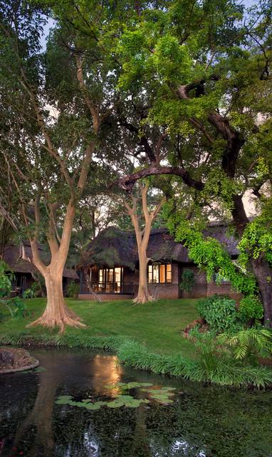 groene oase bij Stanley & Livingstone in Zimbabwe