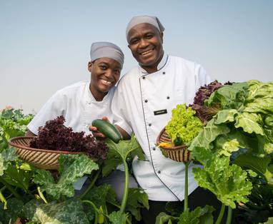 personeel bij Stanley & Livingstone in Zimbabwe