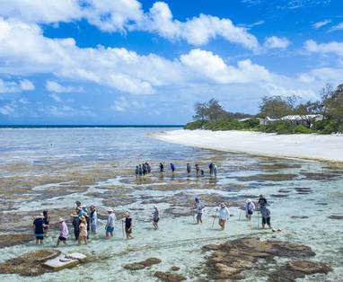 Lady_Elliot_Island_Eco_Resort_-_rif_wandeling_-_Prachtig_rif-min