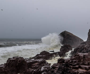 ruige kust bij Shipwreck Lodge in Namibië