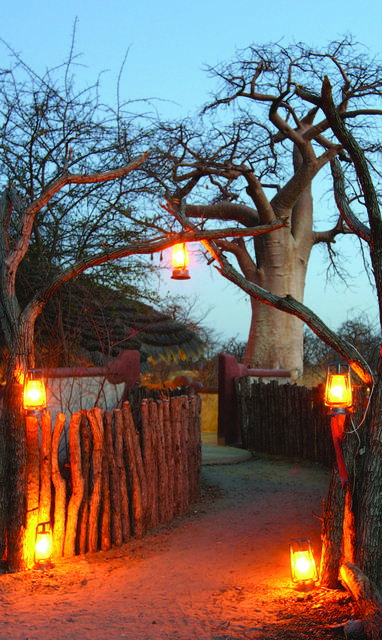 Planet_Baobab__toegang