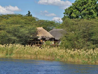 Bakwena_lodge_-_chalet_honeymoon_-_zicht_vanaf_rivier_-botswana_-_chobe_national_park_1