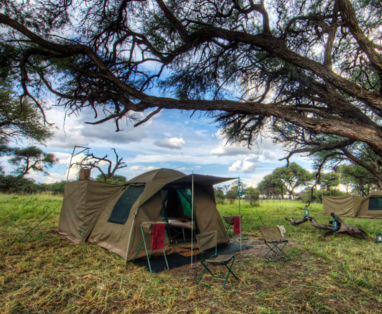 mobiele_safari_-_khwai_concessie_-_ensuite_tent_vooraanzicht_