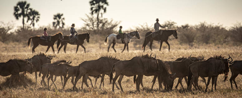 Paardrijsafari bij Camp Kalahari in Botswana