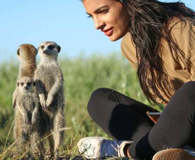 Eigenzinnige stokstaartjes bij Camp Kalahari in Botswana