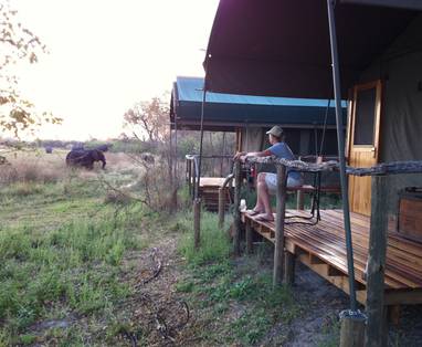 Buitendek omringt door olifanten bij Sango Safari Camp in Botswana