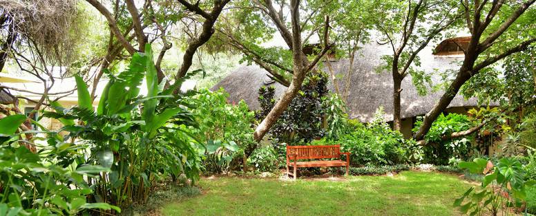 tuin bij Musango Safari Camp in Zimbabwe