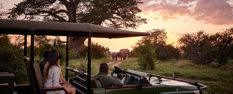 Victoria Falls River Lodge safari 