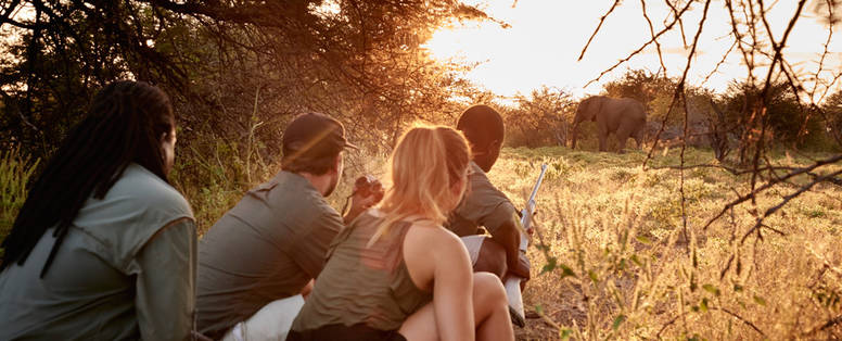 Victoria Falls River Lodge safari 3