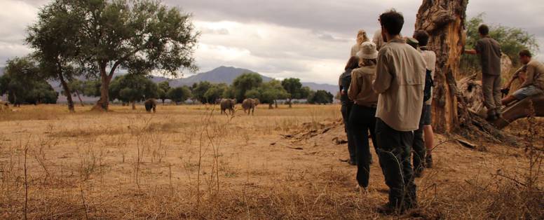 Camp_Mana_wandelsafari_2