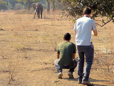 Camp_Mana_wandelsafari