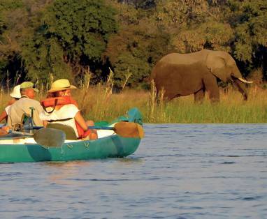 Camp_Mana_kano_safari_2