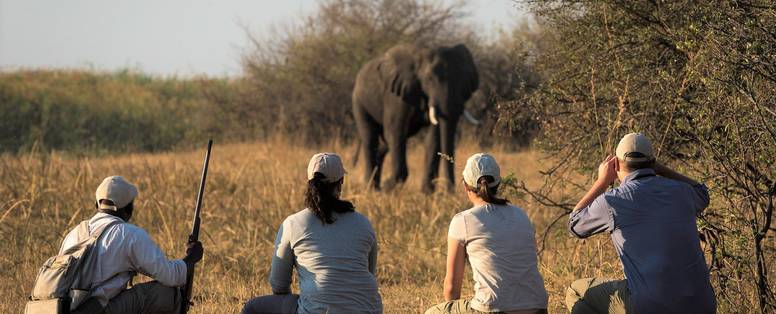 Chobe_national_park_olifanten_spotten