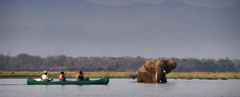 kano excursie bij Nyamatusi Camp, Mana Pools NP in Zimbabwe