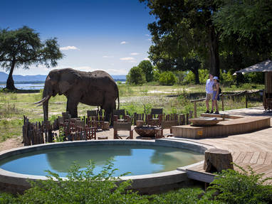 Olifant bij "plunge pool" bij Nyamatusi Camp, Mana Pools NP in Zimbabwe