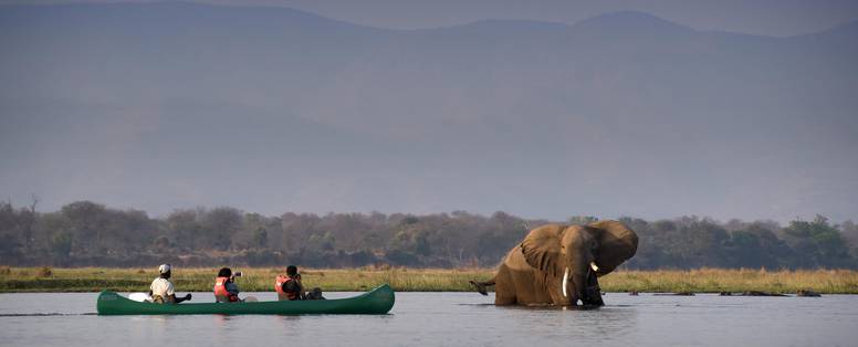 Nyamatusi Camp -kano excursie Mana Pools_klein