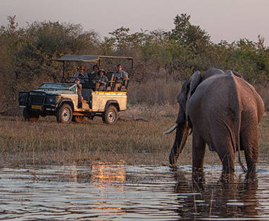 safari bij Musango Safari Camp in Zimbabwe