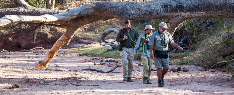 wandelsafari bij Musango Safari Camp in Zimbabwe