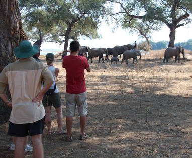 wandelsafari bij Natureways Mano shoreline kanosafari 