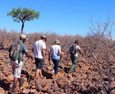 Wandelsafari bij Grootberg Lodge in Namibië
