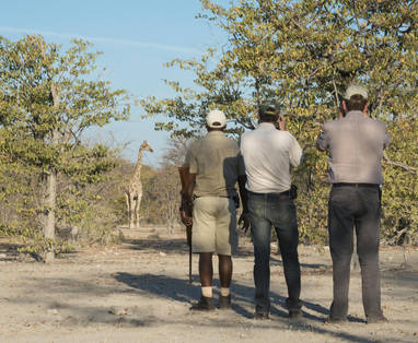 Ongava_Game_Reserve__2