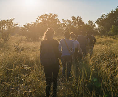 begeleide wandelsafari in botswana