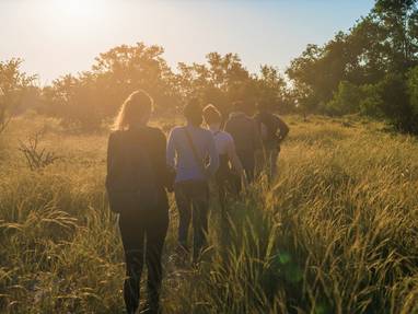 wandelsafari botswana licht
