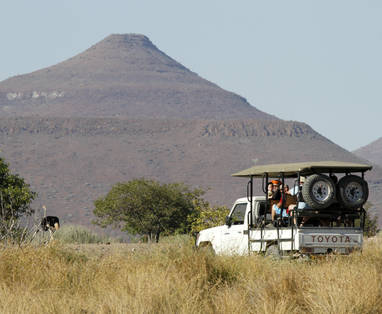 safari bij Palmwag Lodge in Namibië