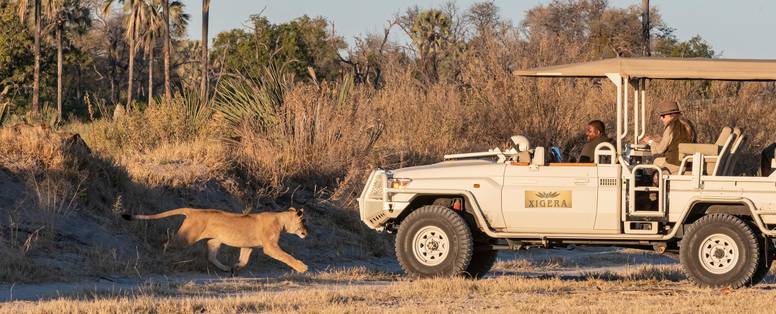 Xigera_Safari_Lodge_safari_2