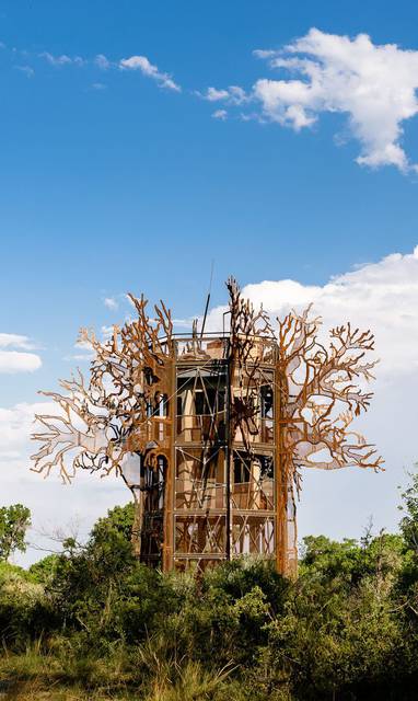 Xigera_Safari_Lodge_treehouse_baobab
