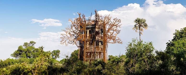 Xigera_Safari_Lodge_treehouse_baobab