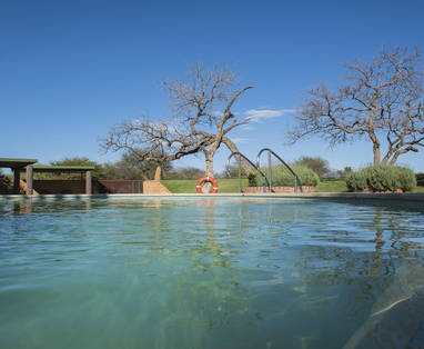 zwembad bij Okonjima's Plain Camp