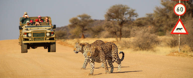 okonjima_experience010