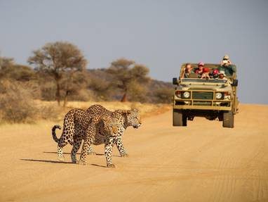 safari bij Okonjima's Plain Camp